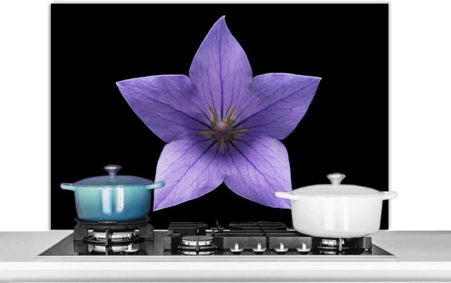 Spatscherm Keuken Wandpaneel Kookplaat Beschermen Luxe Aluminium 100x65 cm Paars Bloemen