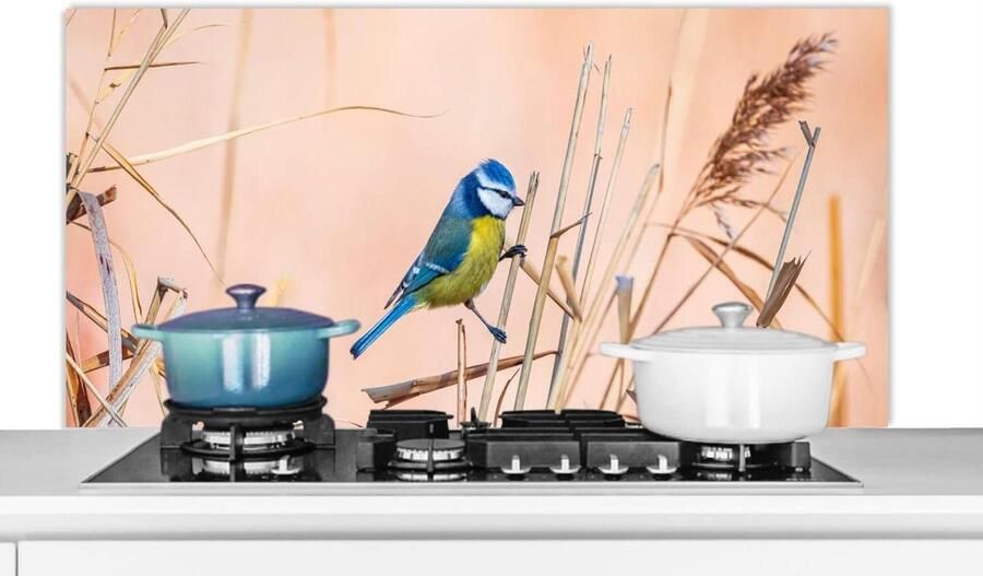 Spatscherm Keuken Wandpaneel Kookplaat Beschermen Luxe Aluminium 120x60 cm Veelkleurig