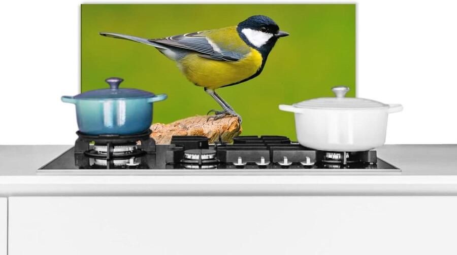 Spatscherm Keuken Wandpaneel Kookplaat Beschermen Luxe Aluminium 70x30 cm Groen