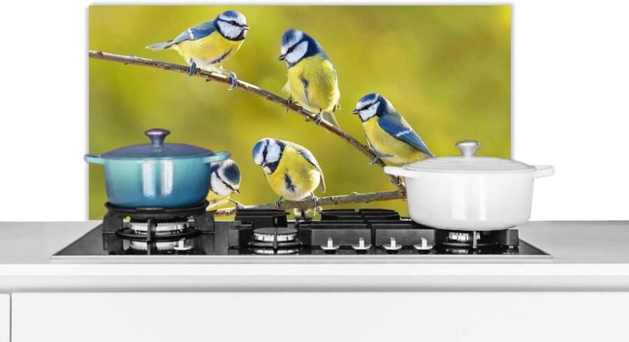 Spatscherm Keuken Wandpaneel Kookplaat Beschermen Luxe Aluminium 90x45 cm Veelkleurig
