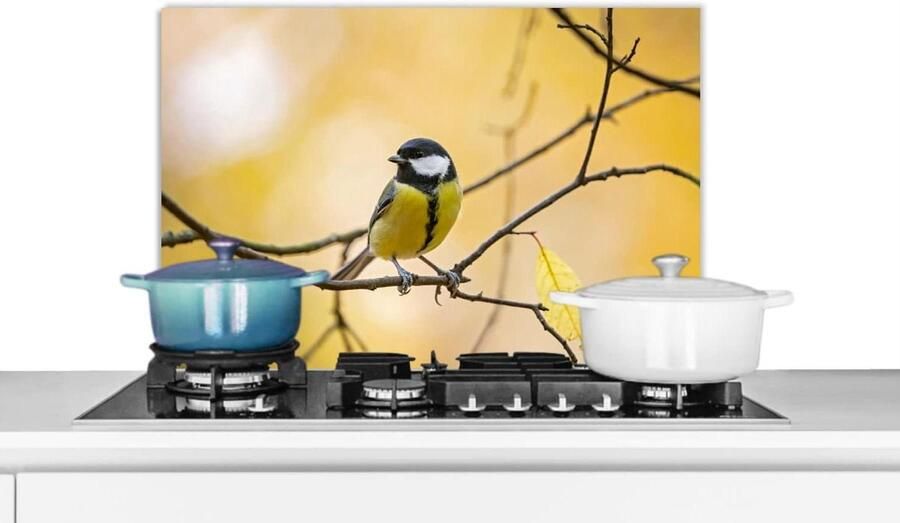 Spatscherm Keuken Wandpaneel Kookplaat Beschermen Scherpe Fotoafdruk 60x40 cm Veelkleurig
