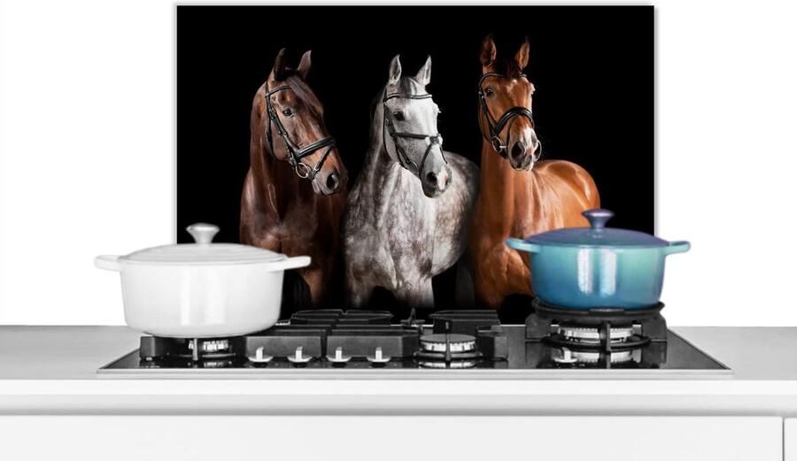 Spatwand Keuken Achterwand Kookplaat Bescherming Dieren Design 60x40 cm Zwart