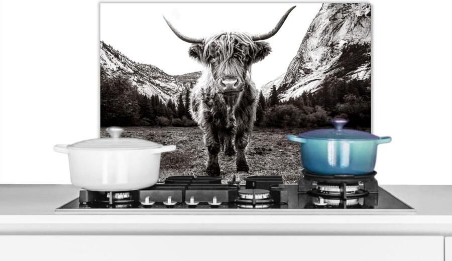 Spatwand Keuken Achterwand Kookplaat Bescherming Hittebestendig Materiaal 60x40 cm Zwart Wit