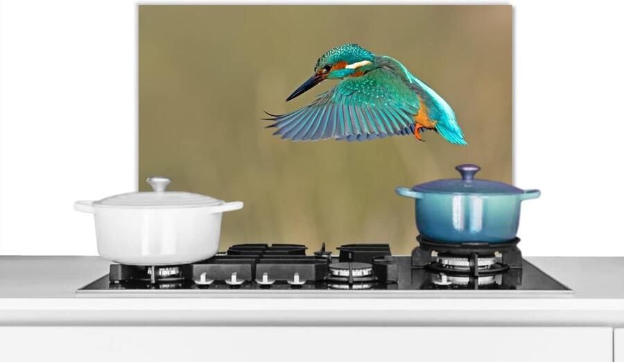 Spatwand Keuken Beschermplaat Koken Beschermen Scherpe Fotoprint 70x50 cm Multicolor