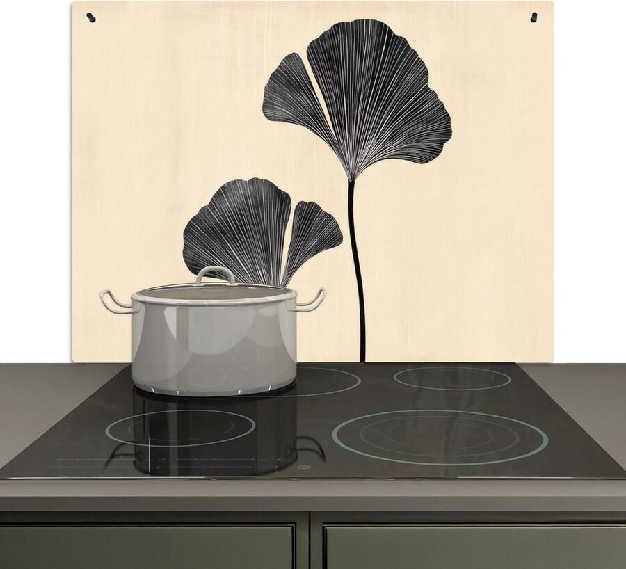 Spatwand Keuken Kookplaat Beschermer Keuken Wand Beschermen 2-in-1 Functie 51.5x76 cm Zwart