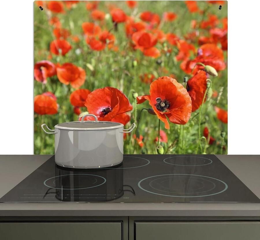 Spatwand Keuken Spatbeschermer Kookplaat Wand Beschermen Dubbele Functie 52x60 cm Bloemen Klaprozen