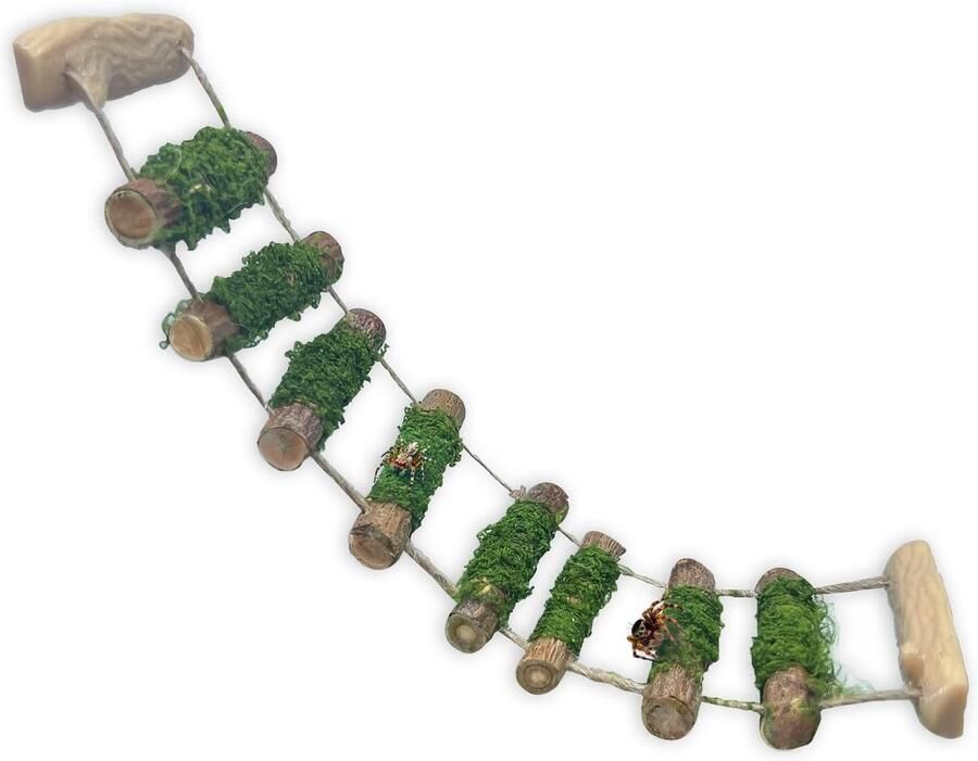 Spider Rope Bridge een massief houten klimbrug een accessoire voor springende spinnenbehuizing handgemaakt een spinsprongplatform gebruikt als decoratief accessoire voor kleine