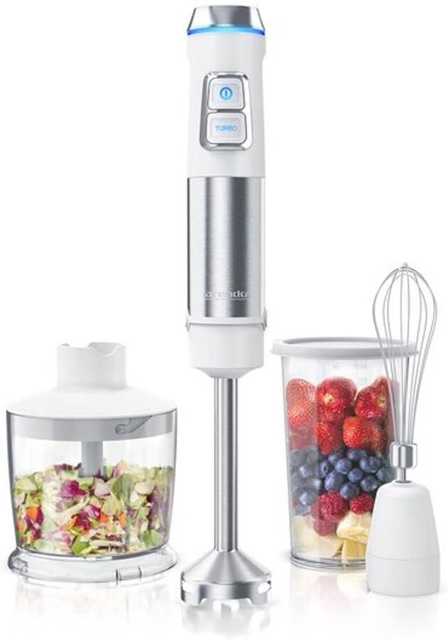 Staafmixer roestvrij staal 1200 Watt set Staafmixer Traploze snelheid 4-vleugelig mes 800 ml maatbeker garde afneembare