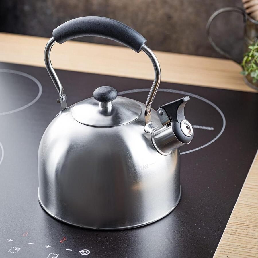 Stalen Waterkoker Theepot Kookpan Water Koken Veilige Fluitfunctie 2.5 Liter Zilver