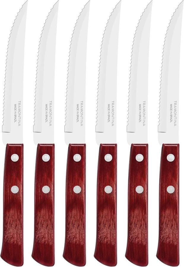 Steakmessen Set Churrasco Messen Tafel Dekken Extra Scherpe Bladen 6 Delig 21 cm Zilver