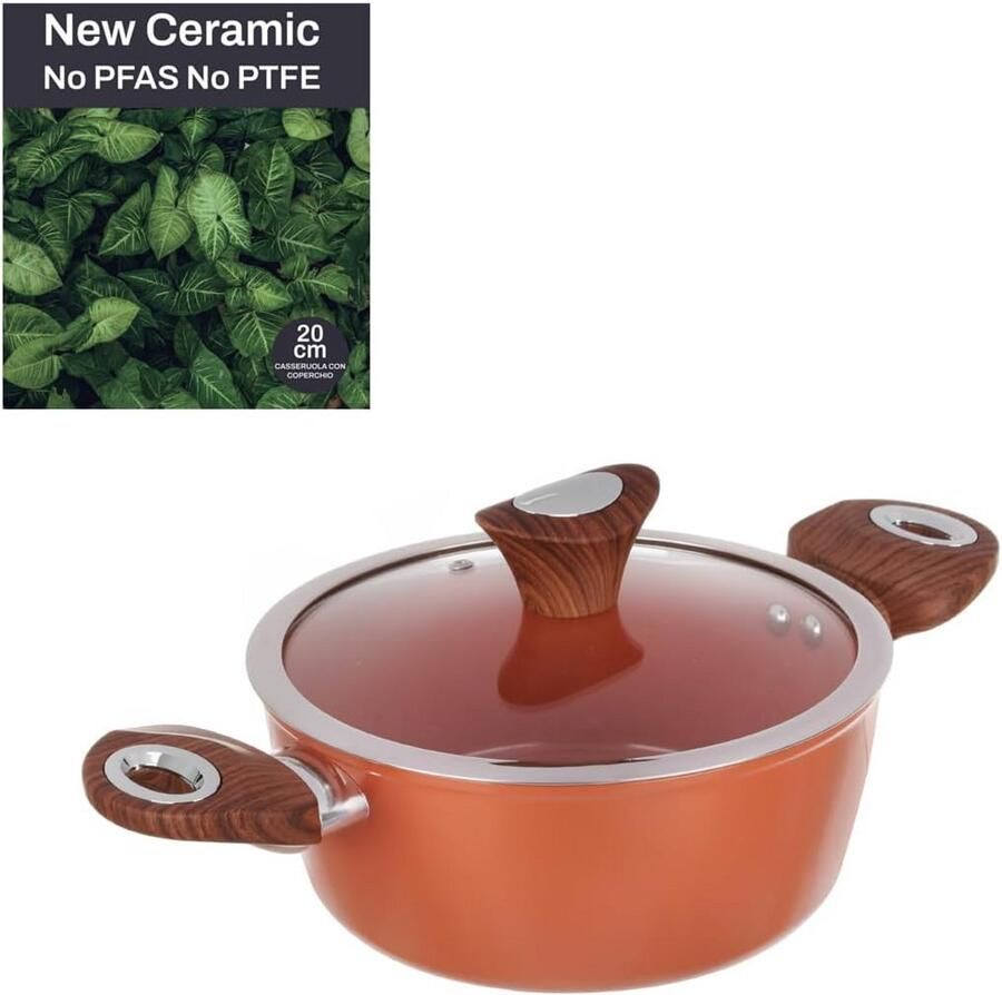 Steelpan met deksel Kookpan Gezond koken Keramische antiaanbaklaag 20 cm Zalm