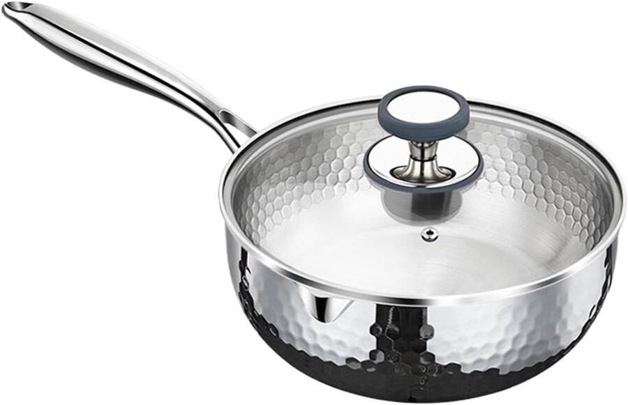 Steelpan met Deksel Sauspan Kookpan Gezond Koken Dubbele Schenktuiten 22 cm Diameter Zilverkleurig
