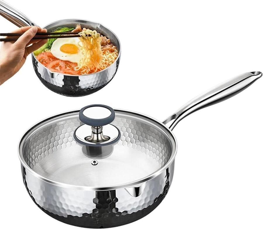 Steelpan met Deksel Sauspan Kookpan Gezond Koken Dubbele Schenktuiten 22 cm Diameter Zilverkleurig
