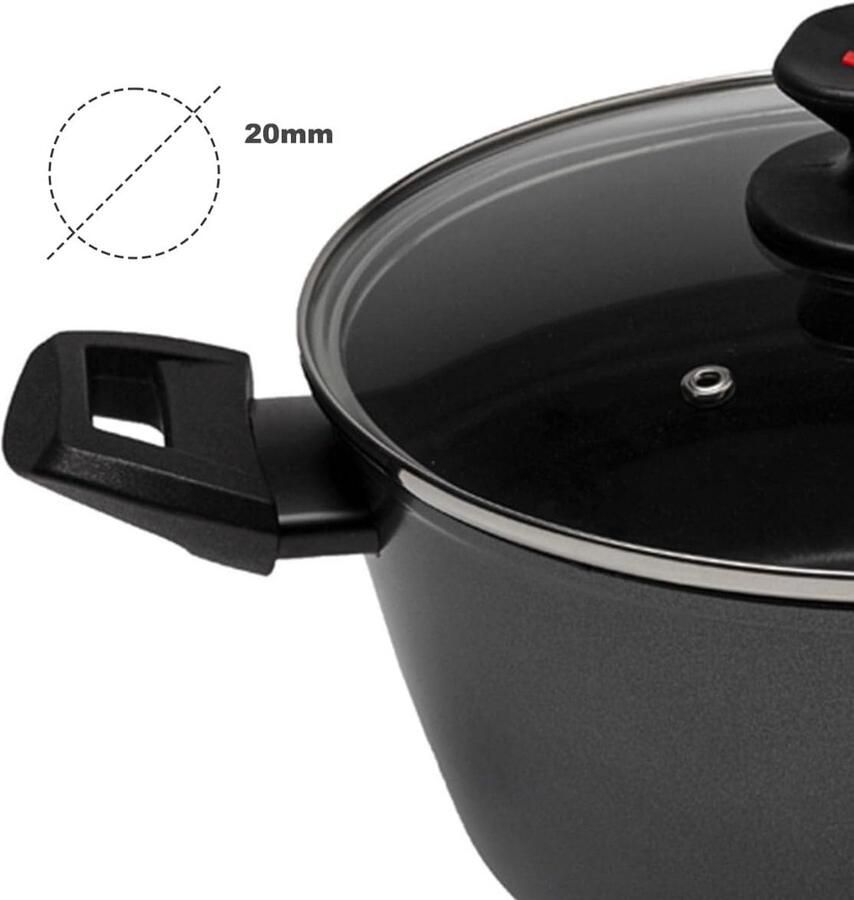 Stevige Braadpan met Deksel voor Inductie 20 cm Doorsnede en Antiaanbaklaag