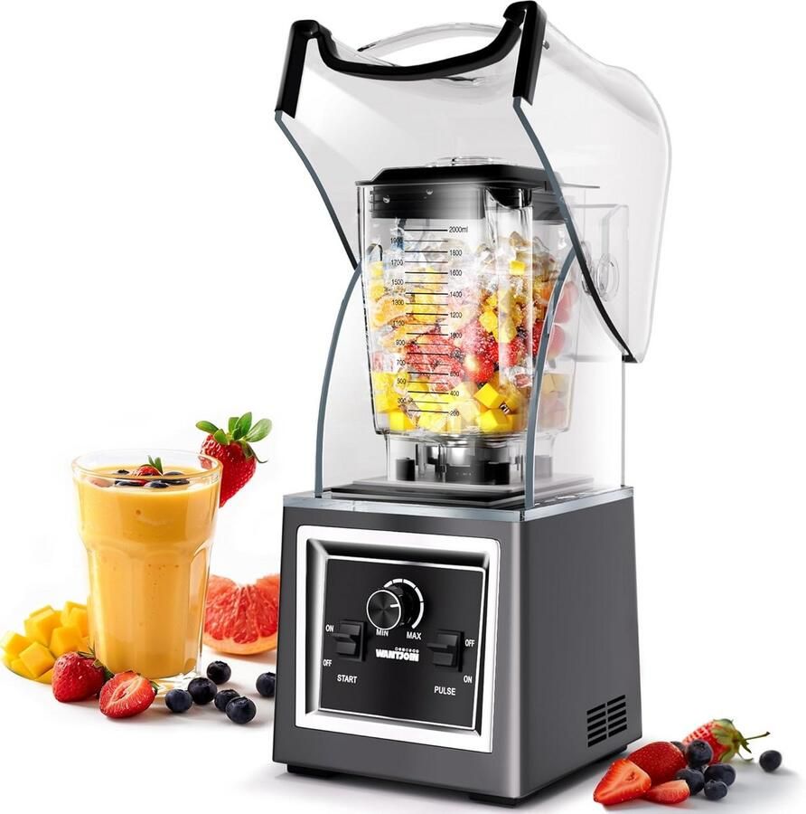 Stille Professionele Blender met Hoog Vermogen voor Smoothies en Sappen