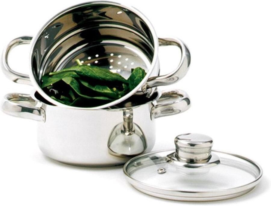 Stoomfornuis Set Stoompan RVS Gezond Koken Tri-Ply Basis 1 Liter Zilver