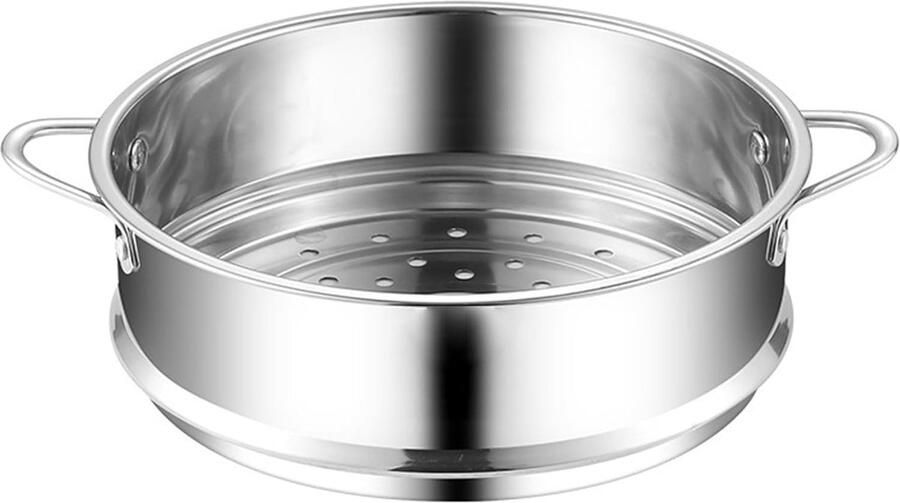 Stoominzet Roestvrij Staal Stoommand Keuken Gezond Koken Dubbele Handgrepen 22CM Diameter Zilver