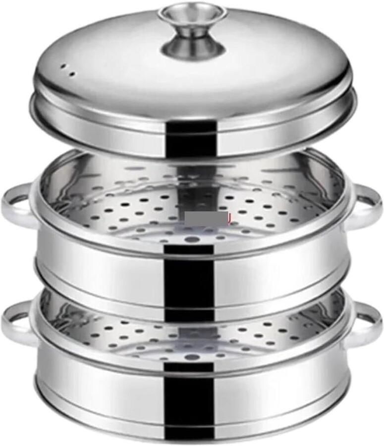 Stoomkoker Inzet Stoommand RVS Gezond Koken Meerlaags Ontwerp 25 cm Zilverkleurig