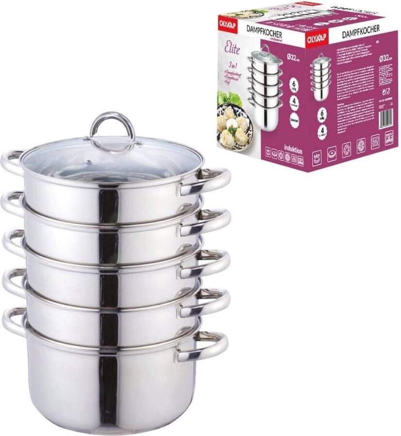 Stoomkoker van roestvrij staal 32 cm bio-stoomkoker voor inductie en alle warmtebronnen