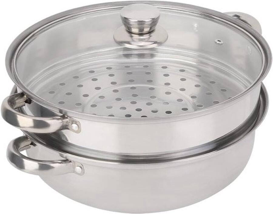 Stoompan Dubbel Stoomkoker RVS Gezond Koken Dubbele Boiler 27x27x19.5cm Zilverkleurig