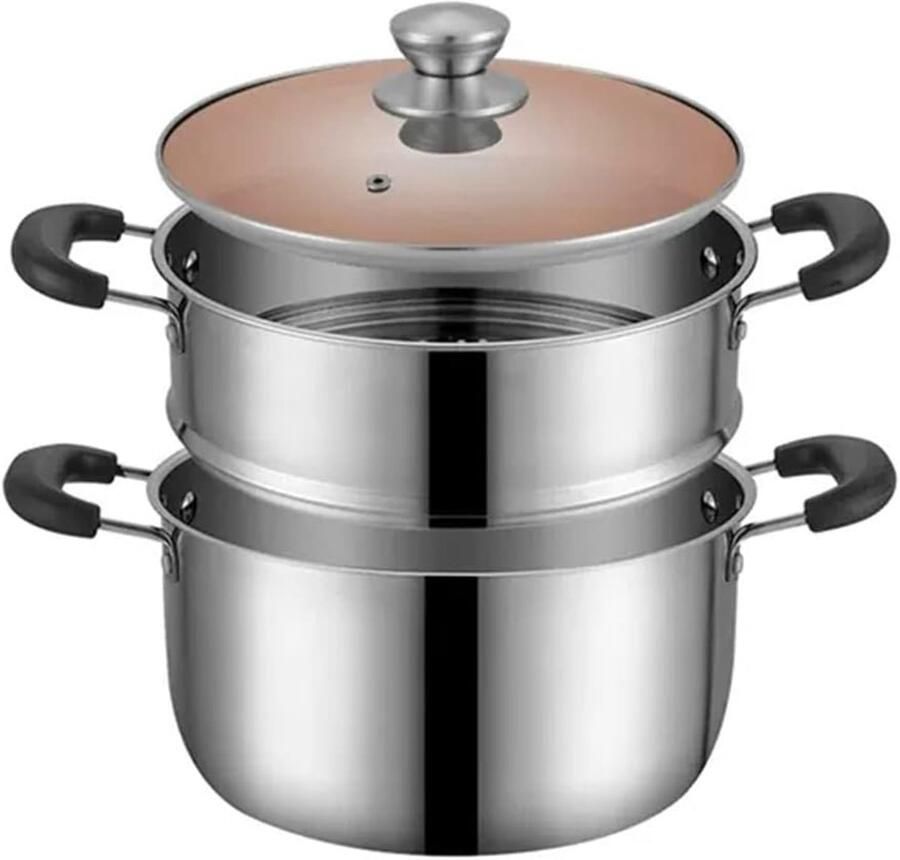 Stoompan Kookpan met stoominzet Gezond Koken Verdikt roestvrij staal 22cm Zilverkleurig