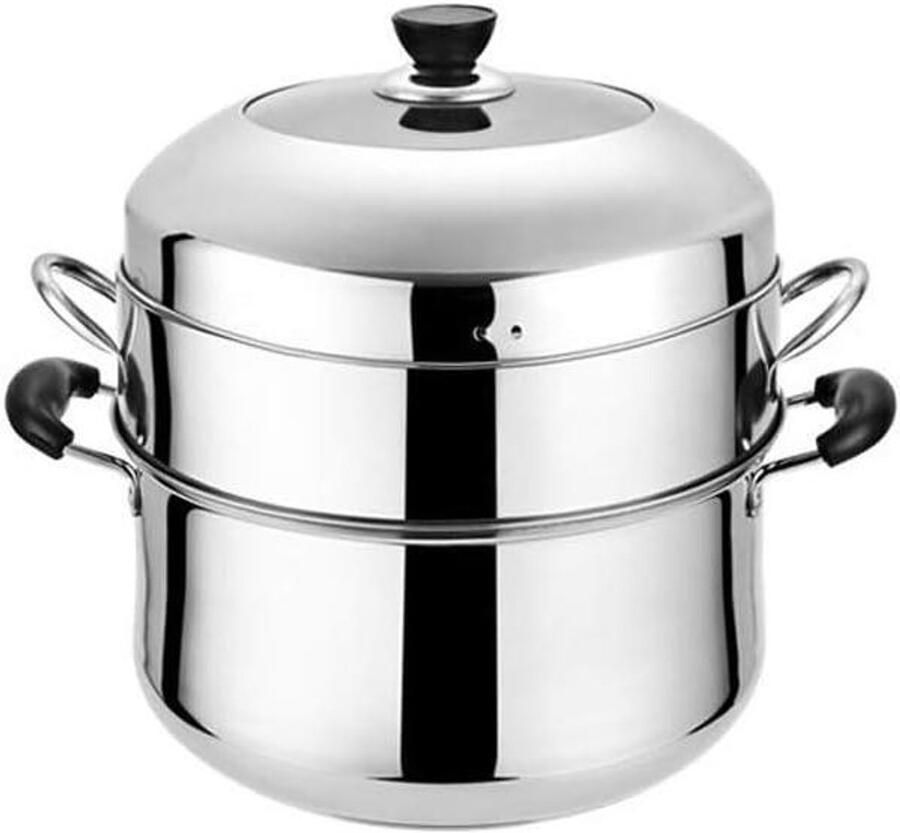 Stoompan Kookpot Gezond Koken Roestvrij Staal 20.8 cm Diameter Zilver