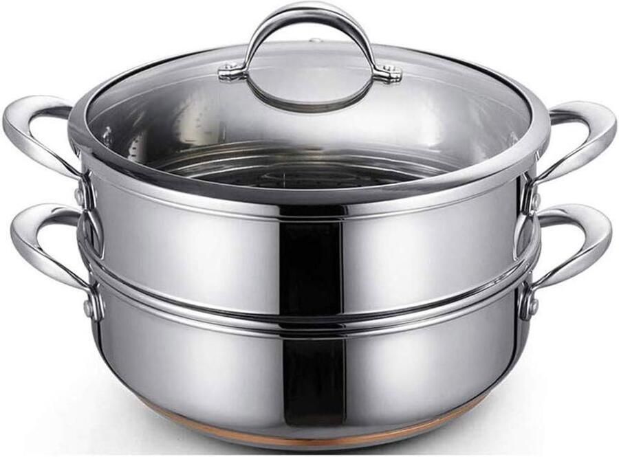 Stoompan met Deksel Kookpan Stoofpan Gezond Koken 5-laags Bodem 2 Lagen Zilverkleurig