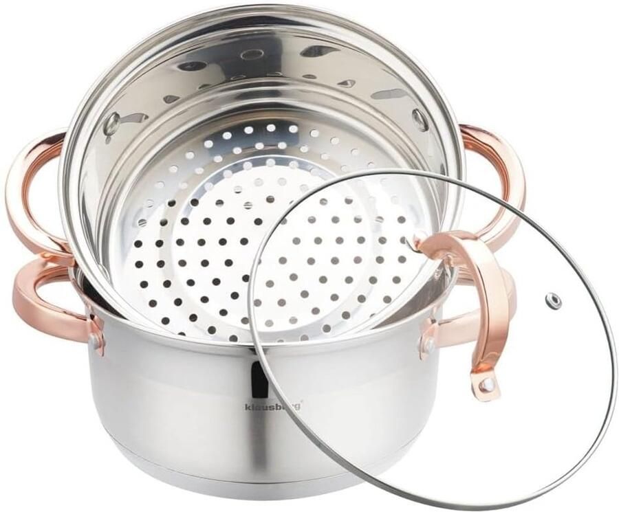 Stoompan Pannenset Stoomkoker Set Gezond Koken Roestvrij Staal 20 cm Doorsnede Zilver Roségoud
