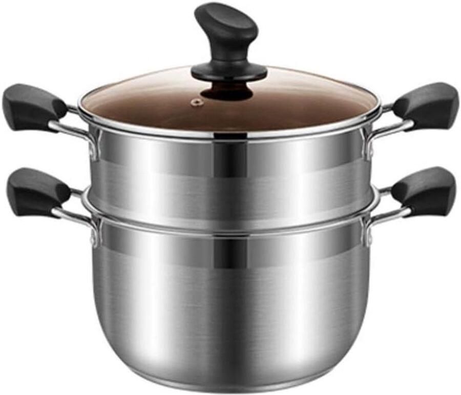 Stoompan Roestvrij Staal Kookpan Stomer Gezond Koken Dubbellaags Ontwerp 24 cm Zilverkleurig