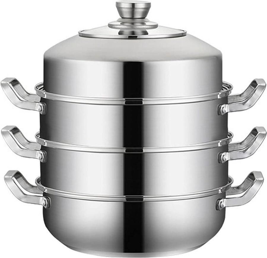 Stoompan Roestvrij Staal Soeppan Hotpan Gezond Koken Meerlaagse Bodem 26 Cm Zilver