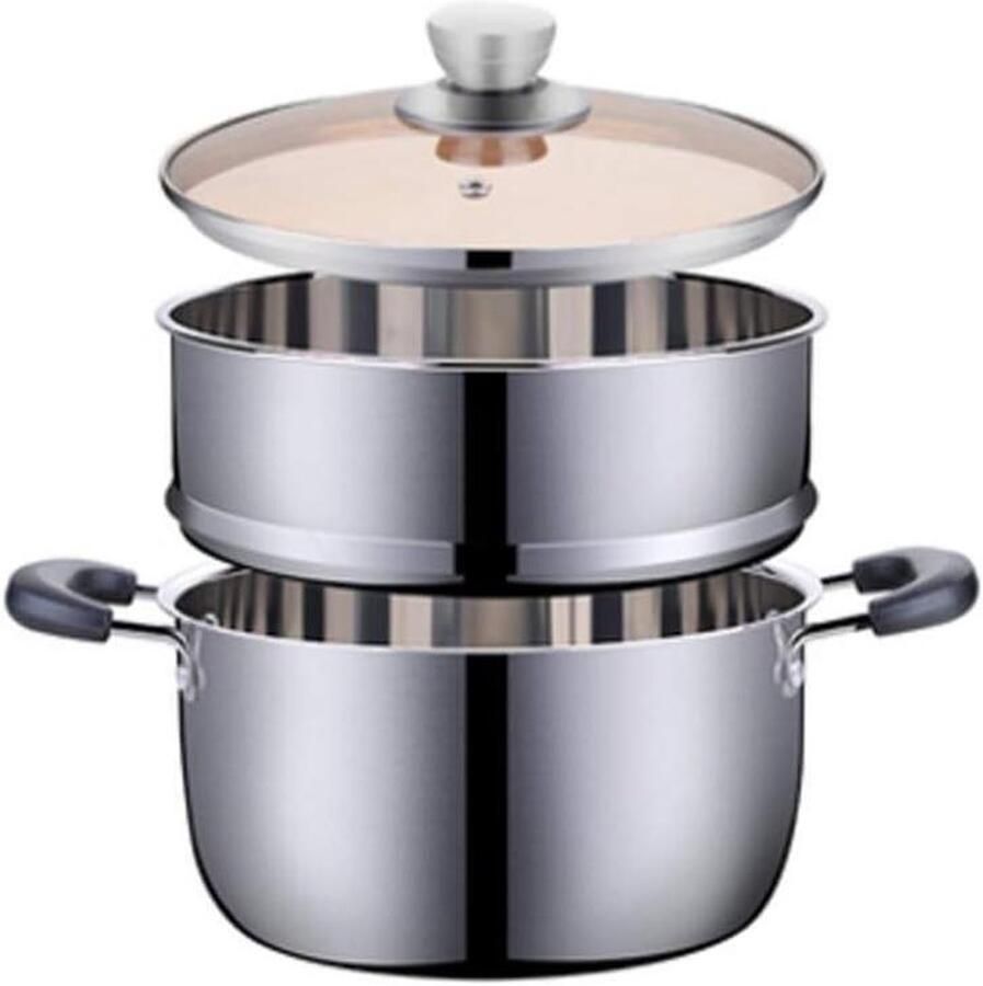 Stoompan Roestvrij Staal Soeppan Stoofpan Gezond Koken Verdikte Bodem 24 cm Zilver