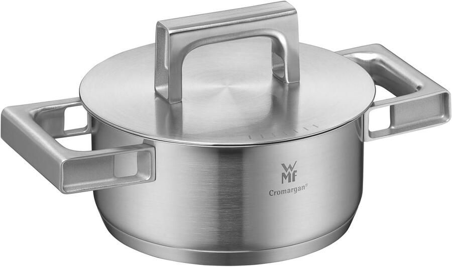 Stoompan RVS Braadpan Inductie Gezond Koken Cool+ Handgrepen 16x16x13 cm Zilver