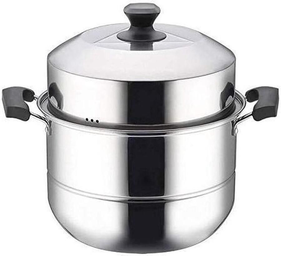 Stoompan RVS Dubbele Stoompan Gezond Koken Universele Bodem 28 cm Zilverkleurig