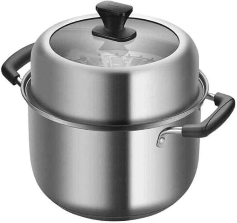 Stoompan RVS Dubbellaags Koken Gezond Koken Composiet Bodem 24 cm Zilver