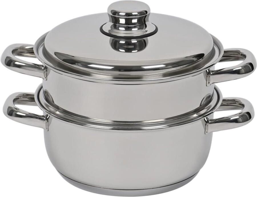 Stoompan RVS Kookpan met mand Gezond Koken 2-in-1 Systeem 20 cm Diameter Zilverkleurig