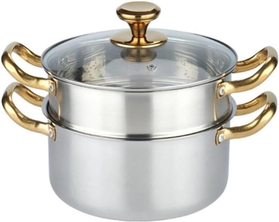 Stoompan RVS Kookpan Stomer Gezond Koken Hoge Stoomefficiëntie 18 cm Goud