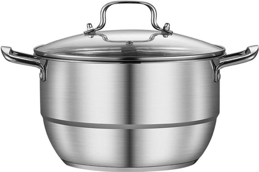 Stoompan RVS Kookpan Stoom Gezond Koken Universeel Geschikt 2 Lagen Zilver