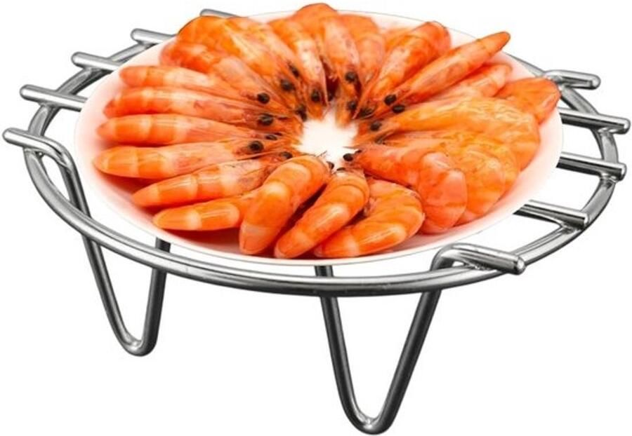Stoompan RVS Kookrek Gezond Koken Antiaanbaklaag 25 cm Zilver