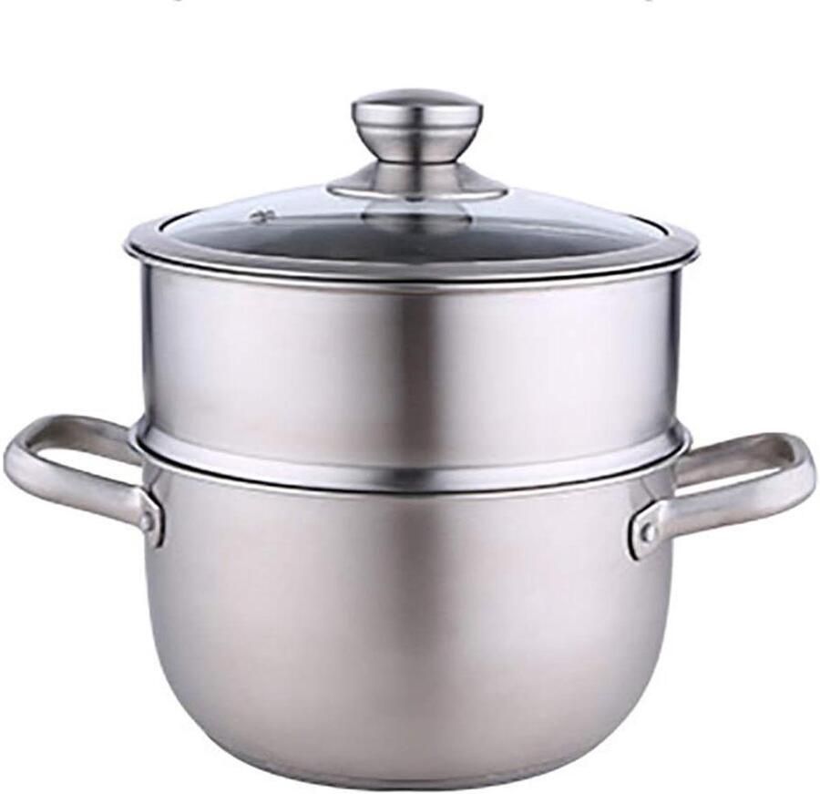 Stoompan RVS Multi-layer Pan Gezond Koken Energiezuinig 22 cm Zilver
