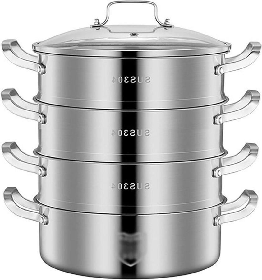 Stoompan RVS Soeppan Hotpan Gezond Koken Extra Dikke Wand 28 Cm Zilver