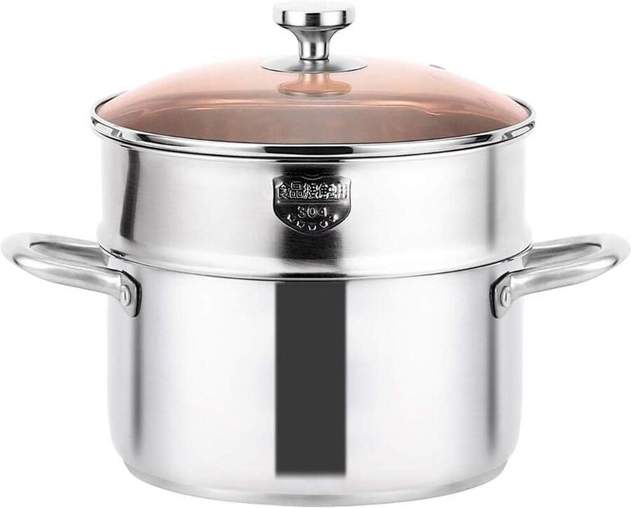 Stoompan RVS Soeppan Kookpan Gezond Koken Gelijkmatige Warmte 20 cm Zilver