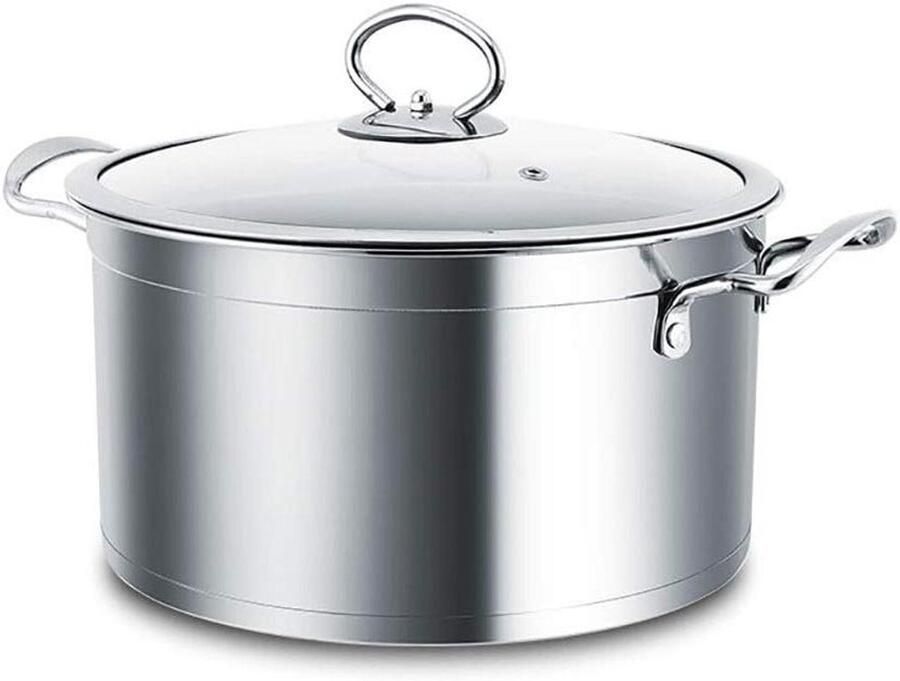 Stoompan RVS Soepstomer Keuken Gezond Koken Gelijkmatige Warmte 20cm Zilver