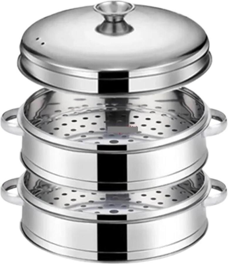 Stoompan RVS Stoominzet Gezond Koken Meerlaags Inzetstuk 31.4 cm Zilverkleurig
