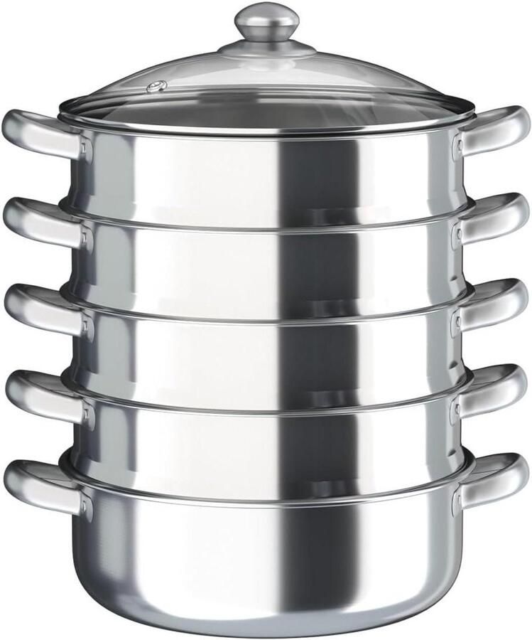 Stoompan RVS Stoomkoker Gezond Koken 5 Niveaus 30 cm Zilver