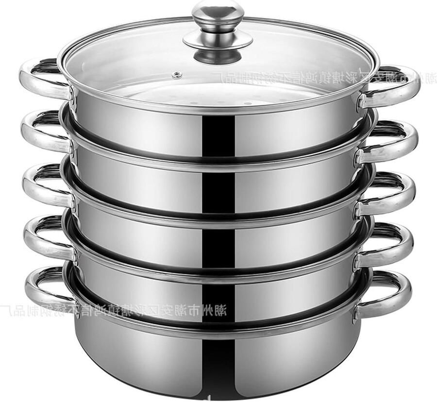 Stoompan RVS Stoomkoker Pan Gezond Koken 5-Laags Ontwerp 28 cm Zilverkleurig