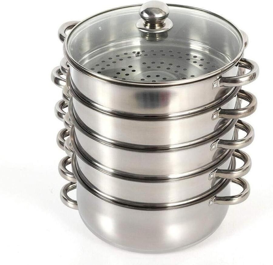 Stoompan RVS Stoomkoker Pan Gezond Koken Uniforme Stoomgaten 26 cm Zilver