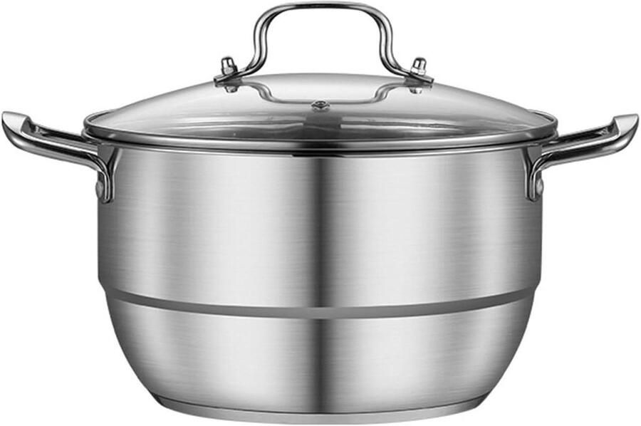 Stoompan RVS Stoomschaal Kookpan Gezinsmaaltijden Bereiden Universeel Fornuis Geschikt 38 x 28 x 18 cm Zilver