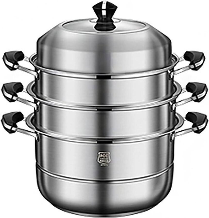 Stoompan RVS Voorraadpot Voor gezond koken 4-laags constructie 36 cm Zilver