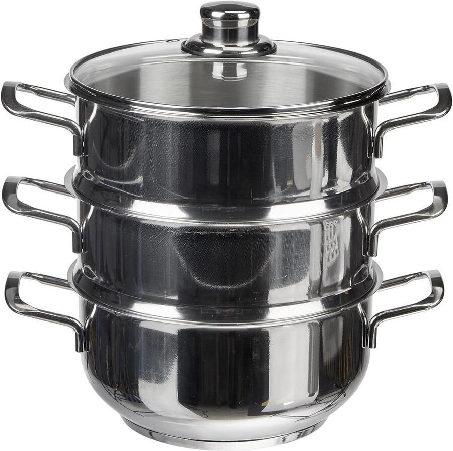Stoompan Set Kookpan met Stoominzet Gezond Koken 3 Stoomniveaus 20 cm Diameter Zilver