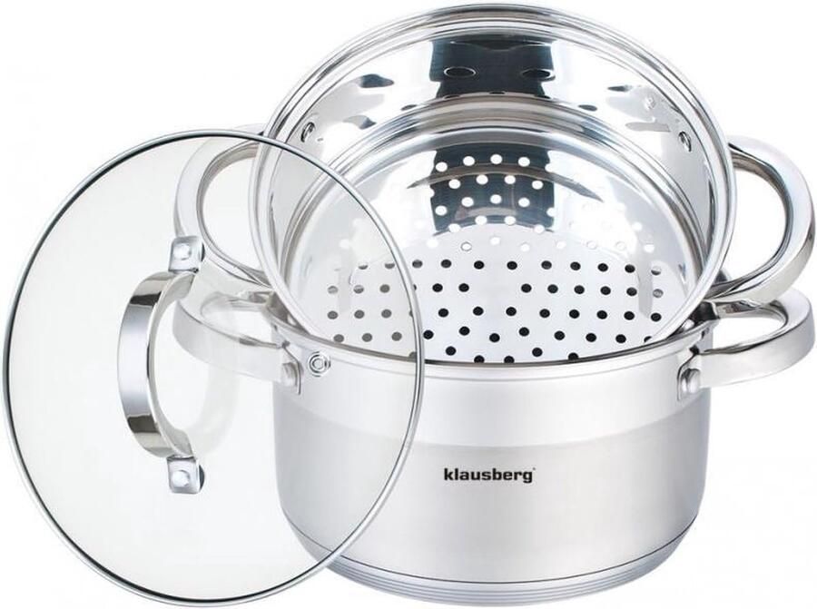 Stoompan Set Stoomkoker Gezond Koken Roestvrij Staal 20 cm 3 Liter Zilverkleurig